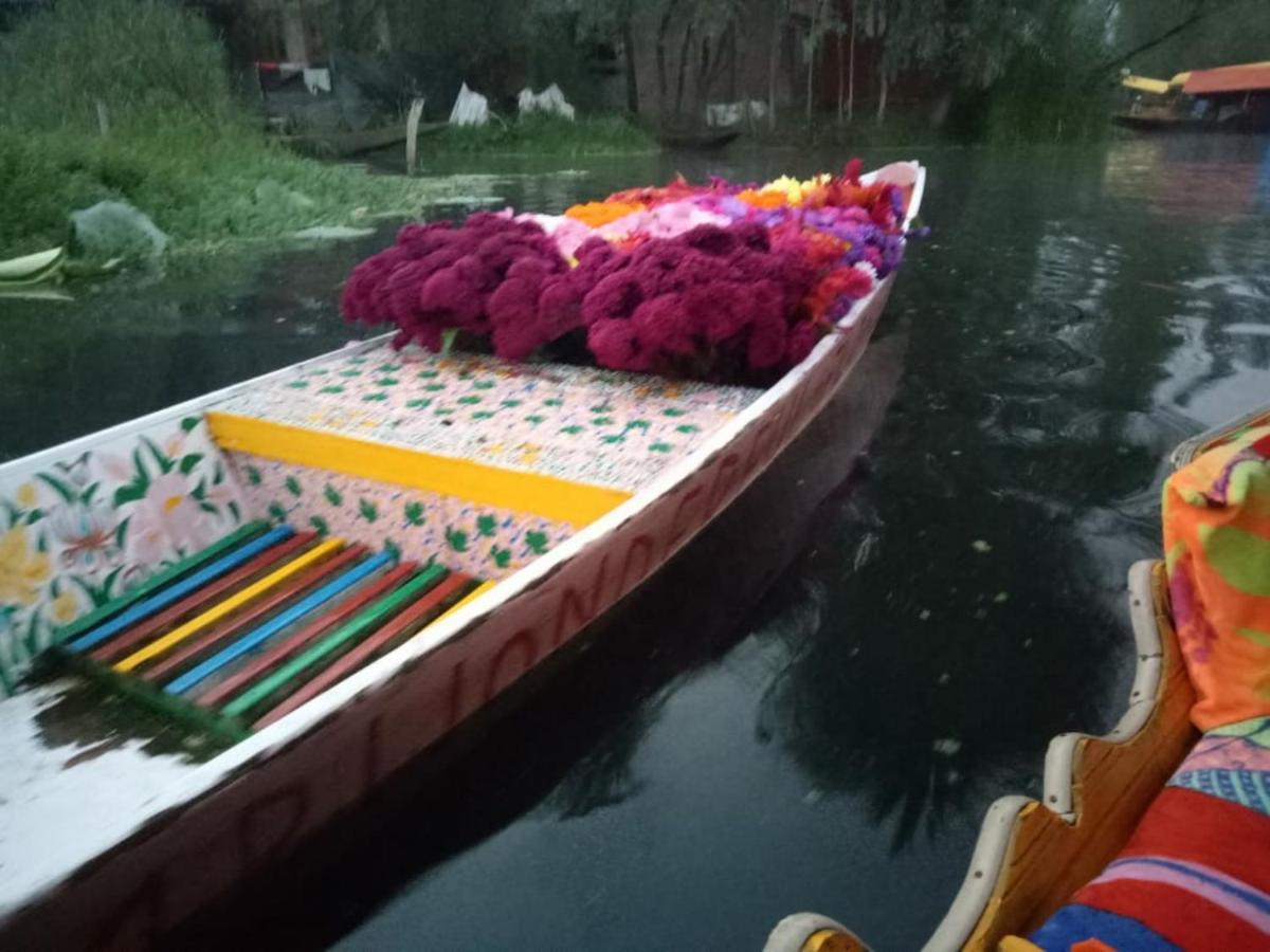 Umbrella Group Of House Boat Hotel Srinagar  Ngoại thất bức ảnh